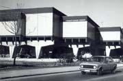 Sijecanj 1982